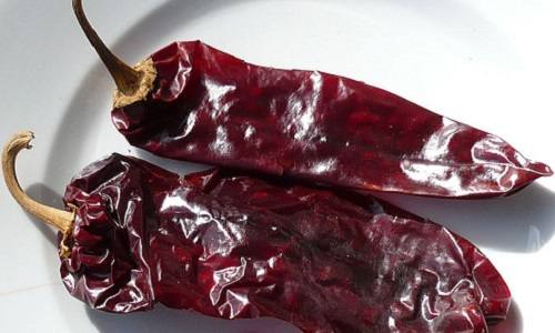 El Chile Jalapeño