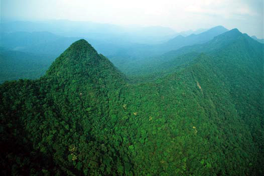 Los Chimalapas