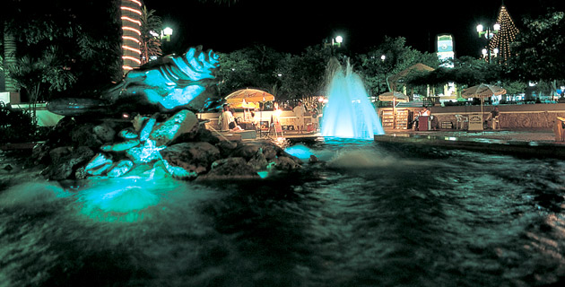 Vida Nocturna en Cozumel