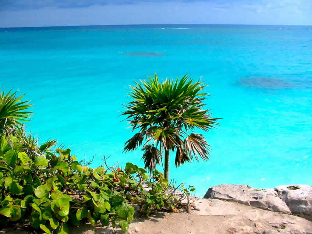 Playas y Arrecifes en Cozumel