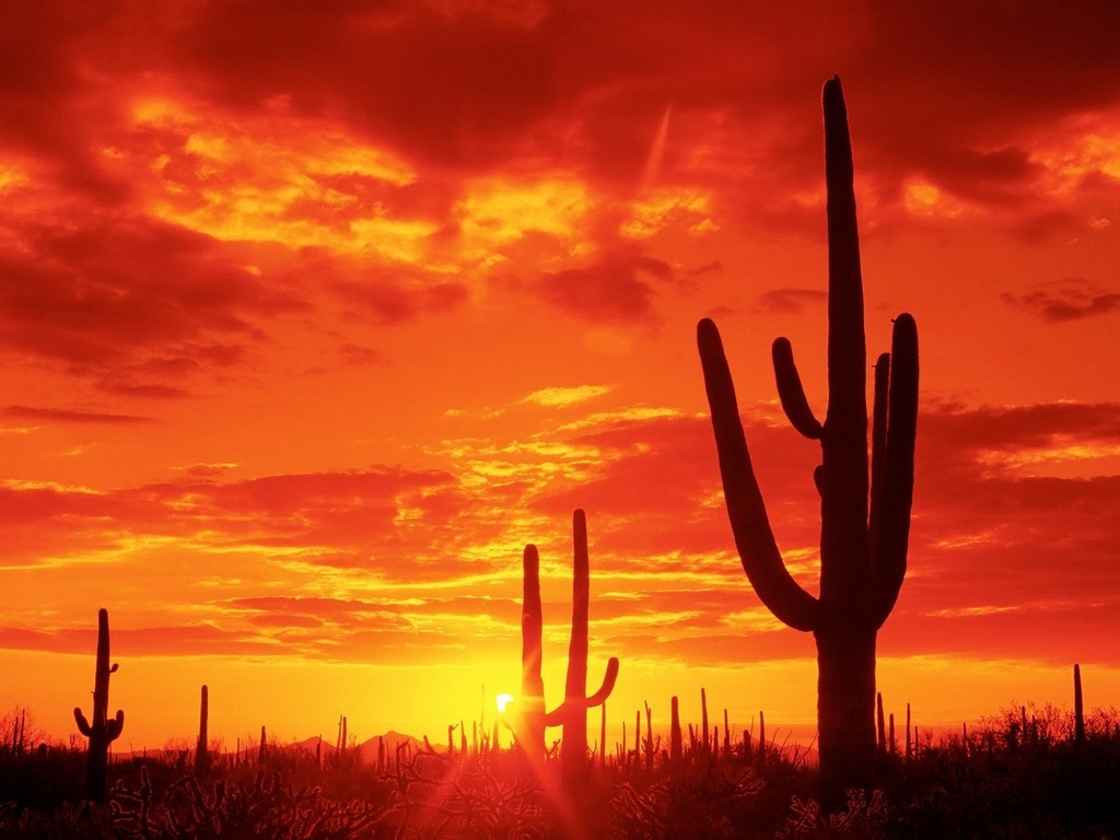 Desiertos en México