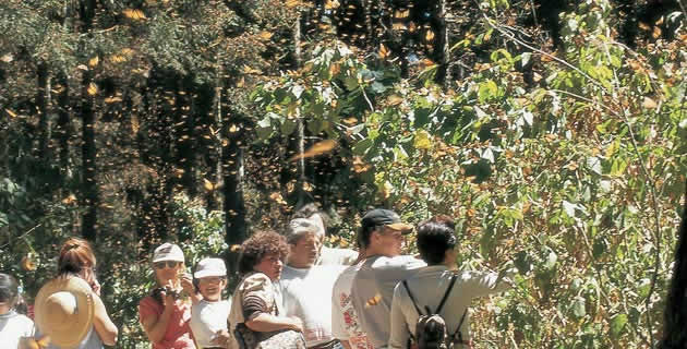 Ecoturismo en la Región Oeste
