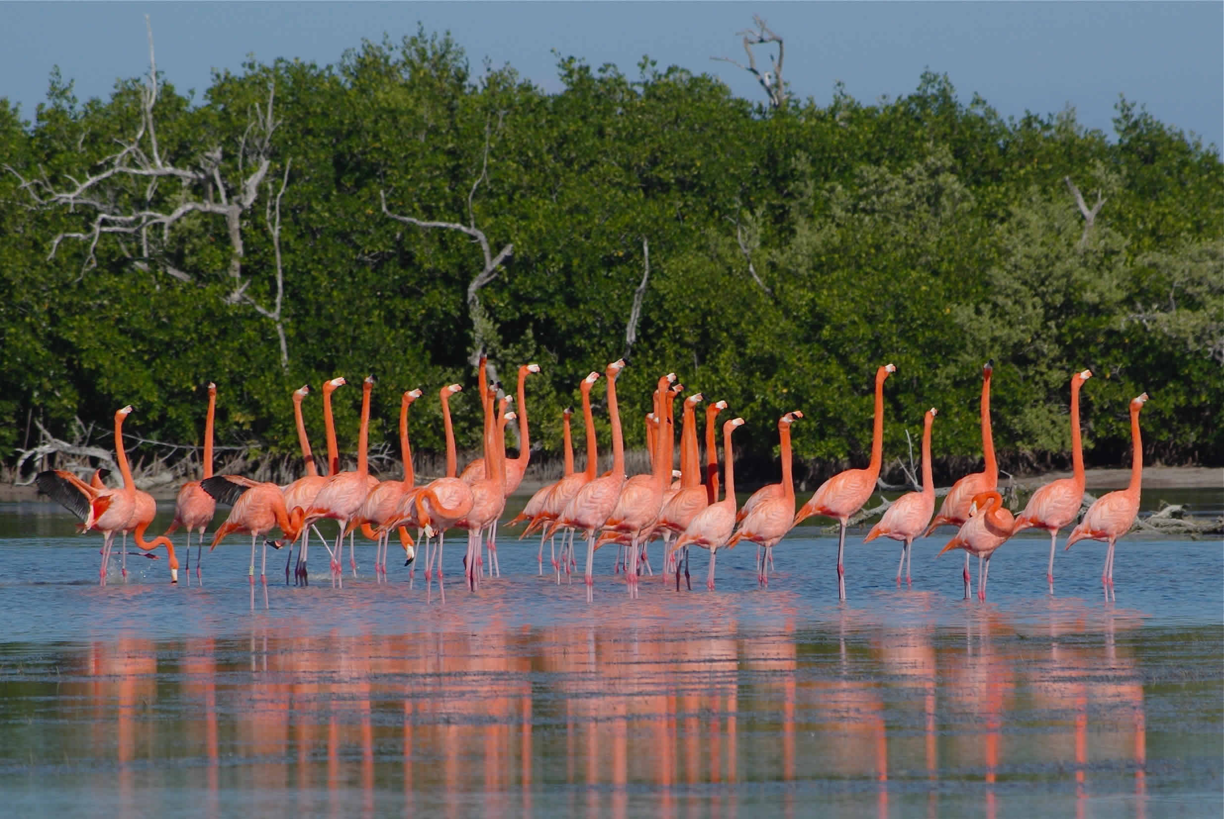 Ría Lagartos (Yucatán)
