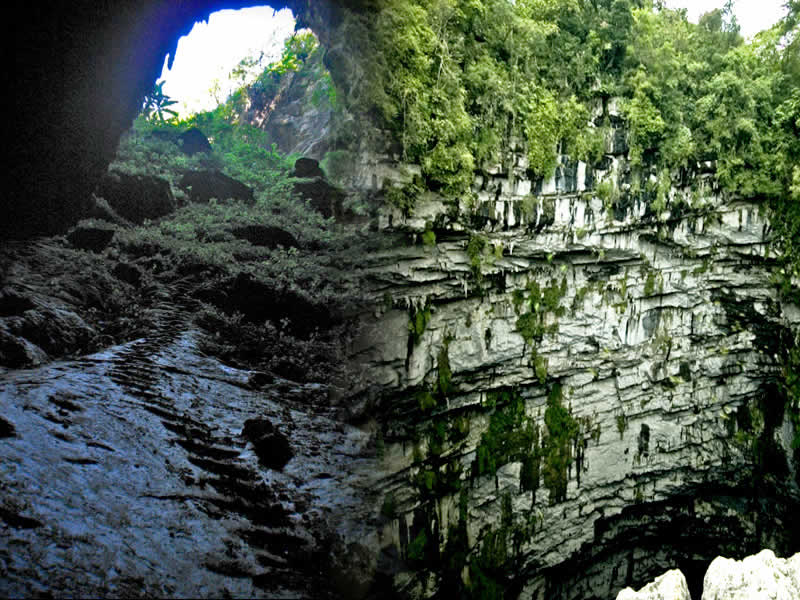Sótano de las Golondrinas (San Luis Potosí)