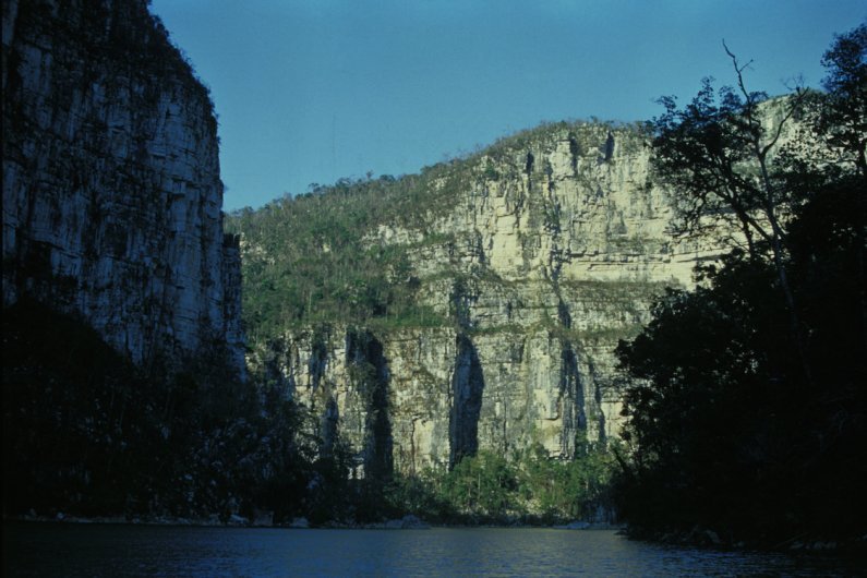 Selva El Ocote