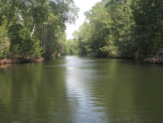 La Encrucijada