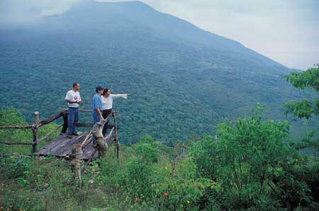 Sierra de Manantlán