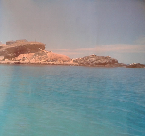 El Pardito en el Mar de Cortés