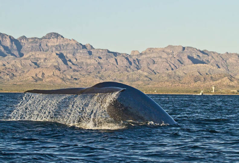 Pueblo Mágico Loreto, Baja California Sur