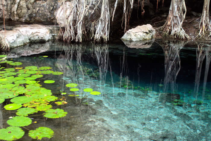 San Antonio Mulix