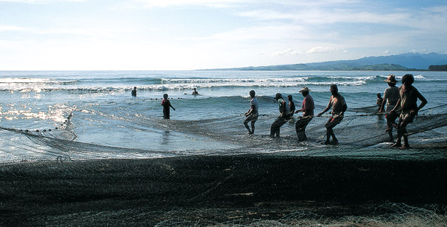 Tamiahua
