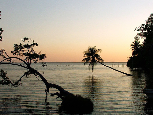 Laguna de Términos