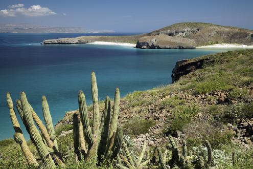 Turismo en las Islas del Golfo de California