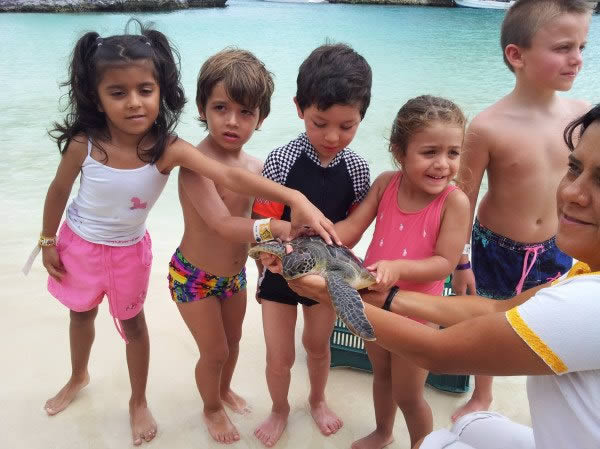 Conservación de Tortuga en Xel-Há