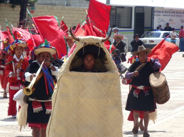 carnaval tenejapa