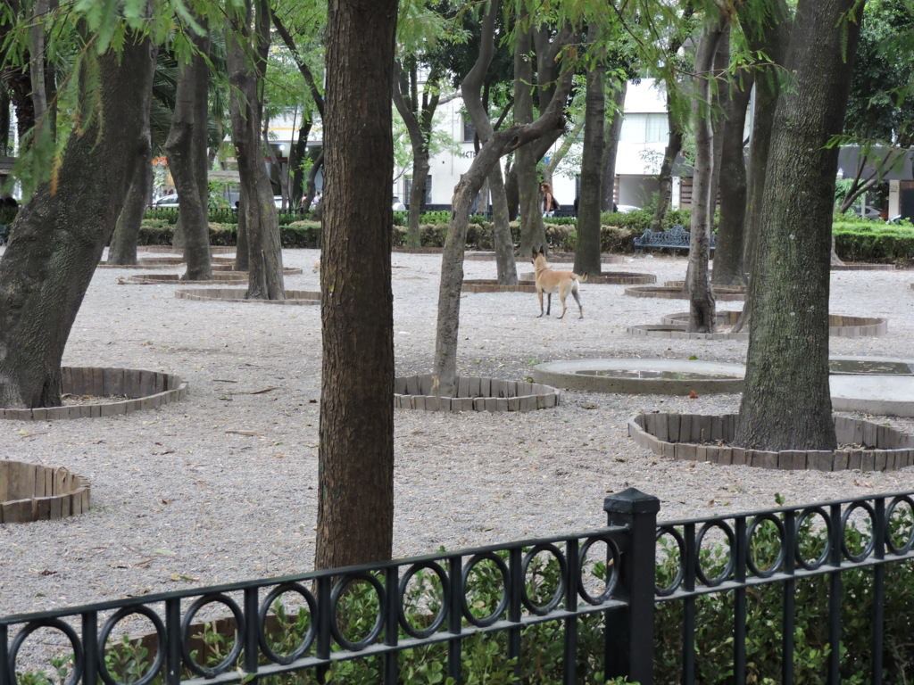 parque mexico