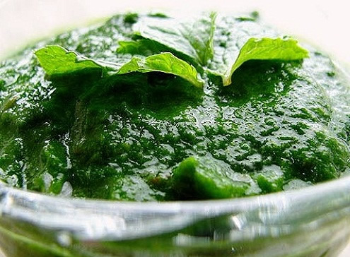 Receta Salsa de Menta