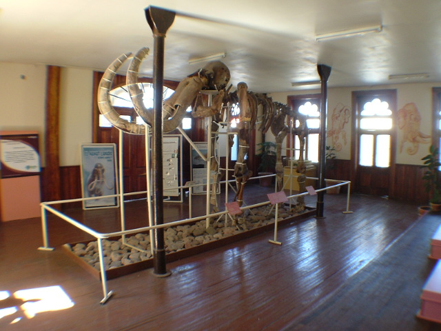 Museo del Mamut, Chihuahua