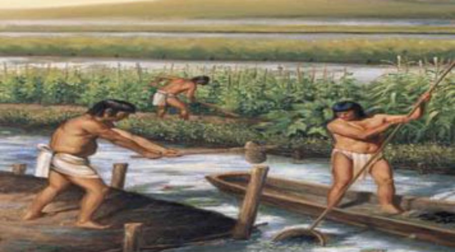 La Agricultura para los Mayas