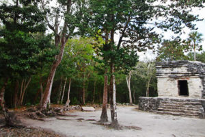 Zona Arqueológica San Gervasio, Quintana Roo