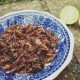 Insectos Mexicanos: un Manjar Nutritivo
