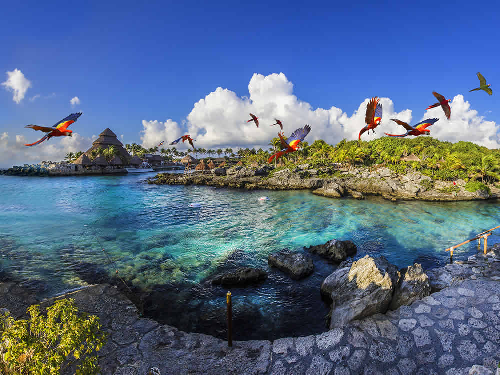 Xcaret: un Paraíso Acuático