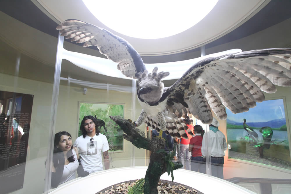 Museo de las Aves de México, Coahuila
