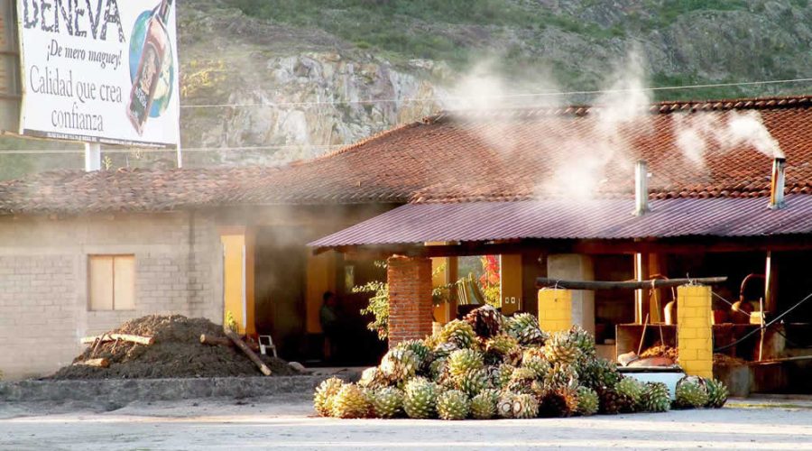 Palenque Rancho Zapata, Oaxaca