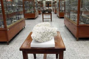 Museo de Mineralogía en Guanajuato