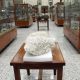Museo de Mineralogía en Guanajuato