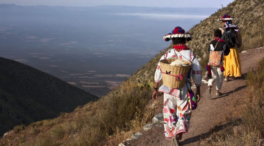 Descubriendo la Esencia Huichol