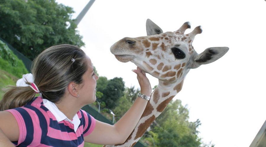 Zoológico de Guadalajara