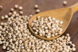 El Sorgo, una delicia culinaria