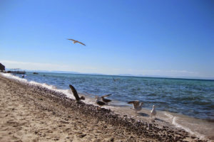 Playa La Ventana en Baja California Sur