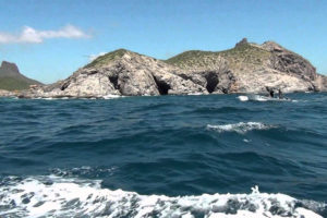 Isla San Pedro Nolasco en Sonora