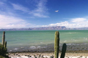 Isla Tiburón en Sonora