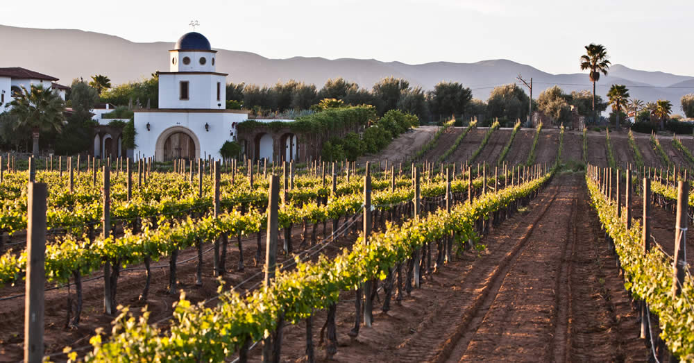 Imperdibles de Baja California