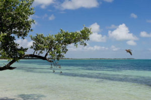 Bahía de Paredón en Chiapas