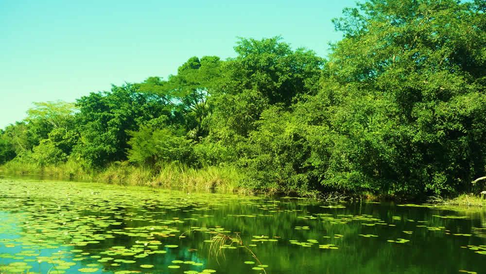 Imperdibles de Campeche