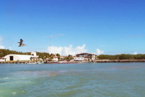 Laguna Madre en Tamaulipas