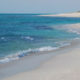 Manigua en Campeche