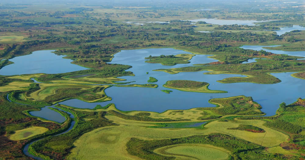 Pantanos de Centla